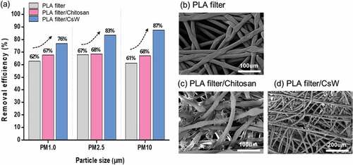 Figure 7. (a) Effect of chitosan coating of PLA filter on the PM removal efficiency. (b) SEM images of fabrics before coating, (c) after chitosan coating, and (d) after CsW coating.