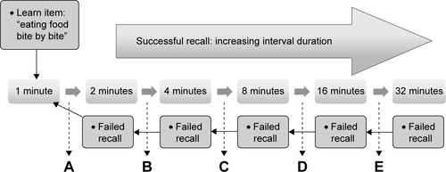 Figure S1 Memory training: Phase II process flow.