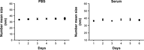 Figure S1 The stability of aPNM in PBS and serum at body temperature.Note: The stability test results conducted at body temperature showed that the size of aminated micelles was kept during a time span of 6 days.Abbreviations: aPNM, amine-terminated γ-PGA nanomicelles; γ-PGA, poly-(γ-glutamic acid); PBS, phosphate-buffered saline.