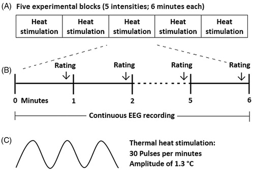 Figure 1. Schematic overview of the experimental procedure. (A) The procedure consisted of five experimental blocks, in which participants received painful stimulation lasting for six minutes. During each block, a different heat intensity was used. (B) Pain was rated during the last five seconds of each minute of stimulation. EEG was recorded continuously. (C) The heat stimuli were oscillating with 30 pulses per minute and an amplitude of 1.3 °C, with the target temperature being reached at the peak.
