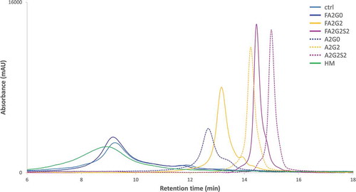 Figure 5. FcγRIIIa affinity chromatography showed longer retention by core fucosylation, terminal galactosylation and further sialylation. Non-glycosylated recombinant FcγRIIIa prepacked column was used to analyze the affinity interaction between transglycosylated glycoforms.