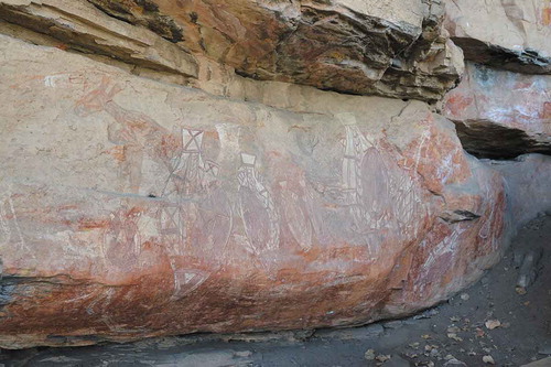 Fig. 11. Seven fish and a turtle painted at Nanguluwurr, created by Djimongurr during the wet season in early 1964. Josie’s Painted Hand can be seen to the left underneath the big barramundi (see figs. 1, 12). Photograph by Irina Ponomareva, 2018.