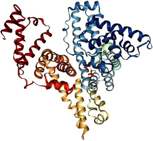 Figure 5 Crystal structure of BSA. Reprinted from Elsevier, 52(3-4) , Majorek KA, Porebski PJ, Dayal A, et al. Structural and immunologic characterization of bovine, horse, and rabbit serum albumins, 174-182, Copyright 2012, with permission from Elsevier.Citation55