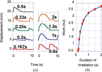 Figure 6 (a) Displacements, and (b) the work done by the actuator with a load of 0.98 N for different irradiation durations. The results shown in (a) are displaced shifting 5 mm from each other to avoid overlapping.