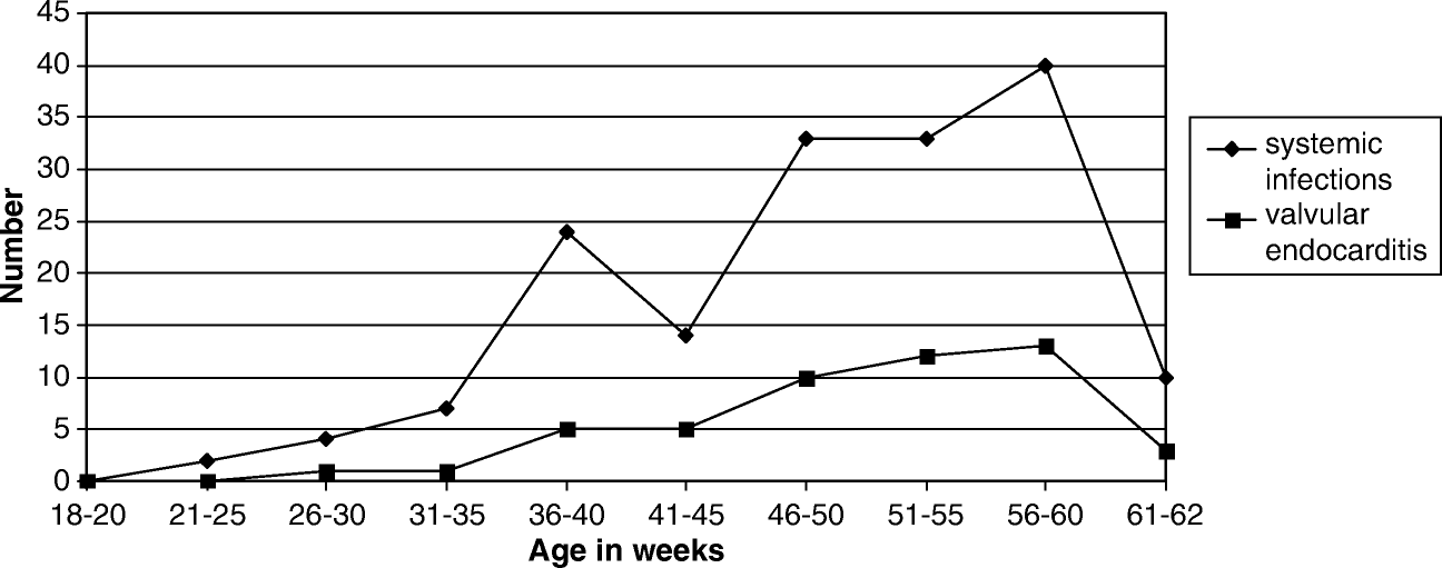 Figure 1.  Systemic infections and valvular endocarditis due to E. faecalis observed among 3100 broiler breeders subjected to post-mortem examination.