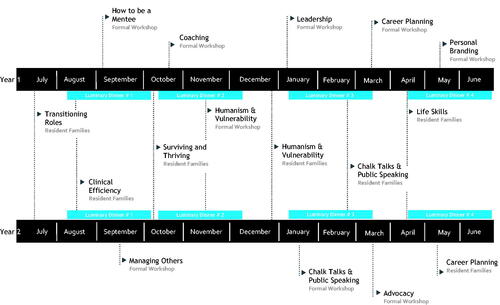 Figure 1. Example timeline of the medicine-paediatrics mentorship curriculum.