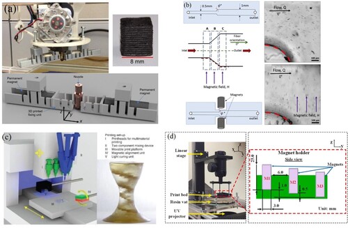 Figure 2. (a) Modified 3D-Printer showing the extruder including the nozzle and the flexible fixing unit for the permanent magnets and printed SrF12O19 cube (8 mm × 8 mm × 8 mm). Bottom picture shows flexible 3d printed fixing unit for the bias magnets that is placed next to the nozzle [Citation82]. (b) Schematic of the divergent channel with regions A, B, and C. Flow of magnetic nanofibers in a 45° divergent channel without a MF and with a 40 mT MF [Citation83]; (c) Set-up of the extrusion-based DIW integrated with a MF. Beside which a printed composite with spiral staircase architecture is shown [Citation33]. (d) Customised DLP printer setup [Citation85] with the red part displaying the linear array of NdFeB magnets with vertical steps in the magnet holder to generate gradient particle distribution during the printing process.