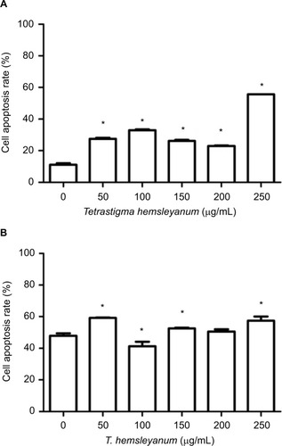 Figure 3 The effects of EET on cell apoptotic rates of HepG2 cells (A) and SMMC- 7721 cells (B).Note: *P<0.05 compared with the control group.Abbreviation: EET, ethylacetate extract from T. hemsleyanum.