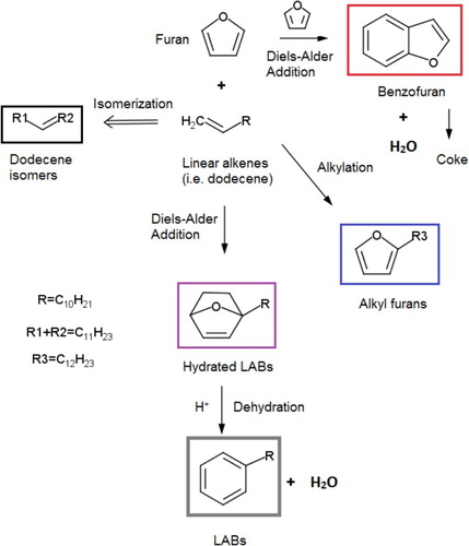 Figure 6. Proposed reaction pathways for LAB synthesis from furan and linear alkenes.