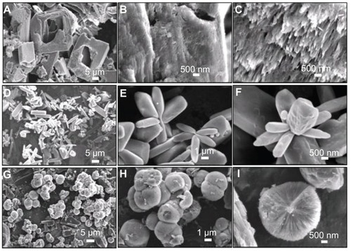 Figure 10 Scanning electron microscopy images of (A–C) the sample synthesized by using CaCl2 and NaH2PO4 without the addition of C4H4O6 KNa · 4H2O at 200°C for 24 hours (sample 7); (D–F) the sample synthesized by using CaCl2 and C4H4O6 KNa · 4H2O at room temperature for 30 minutes (sample 8); and (G–I) the sample synthesized by using CaCl2 and C4H4O6 KNa · 4H2O at 200°C for 24 hours (sample 9).