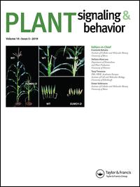 Cover image for Plant Signaling & Behavior, Volume 10, Issue 6, 2015