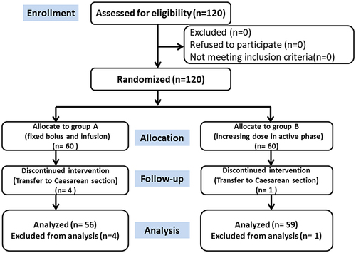 Figure 1 Flow chart of the study.