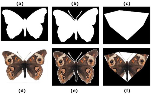 Figure 5. “0037” image from subset4, (a) GT image, (b) segmented mask image by BM, (c) segmented mask image by GF2T, (d) original image, (e) extracted object image by BM, and (f) extracted image by GF2T.
