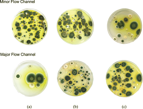 Figure 6. Photos of cultivated fungal particles from air sampling with cutoff diameters of (a) 635 nm, (b) 1 µm, and (c) 1.5 µm.
