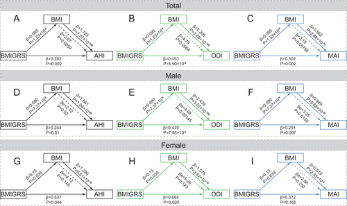 Figure 2 Mendelian randomization analysis for the association of BMI GRS and OSA quantitative traits. (A) BMI GRS and AHI for total population; (B) BMI GRS and ODI for total population; (C) BMI GRS and MAI for total population; (D) BMI GRS and AHI for men; (E) BMI GRS and ODI for men; (F) BMI GRS and MAI for men; (G) BMI GRS and AHI for women; (H) BMI GRS and ODI for women; (I) BMI GRS and MAI for women.