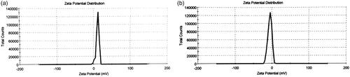 Figure 4. Zeta potential distribution of (a) the synthesized 5ALA-conjugated NPs (peak: 11.4 mV); (b) the synthesized FA-5ALA-conjugated NPs (peak: –5.53 mV).