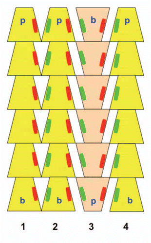 Figure 2 Schematic model of ParM bundles. Three filaments with their pointed ends (p) up are shown in yellow one filament with the barbed end (b) up is shown in tan. Parallel filaments within the bundle (filaments 1–2) share similar large areas of molecular interaction (illustrated as red and green patches) as filaments arranged anti-parallel (filaments 2–3 or 3–4).