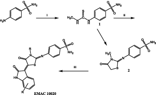Figure 2. Synthetic pathway to compounds EMAC 10020. Reagents and conditions: (i) 2-propanol, methyl isothiocyanate; (ii) ethanol, ethyl bromoacetate, dry sodium acetate; (iii) R-isatin, acetic anhydride, dry sodium acetate, acetic acid.