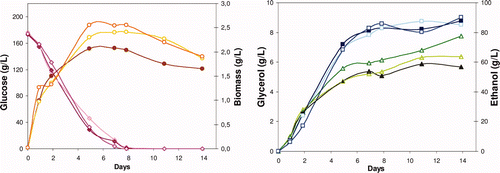 Supplementary Figure 3. Time course of glucose consumption (Display full size,Display full size,Display full size), and biomass (Display full size,Display full size,Display full size), glycerol (Display full size,Display full size,Display full size), and ethanol (Display full size,Display full size,Display full size) production during alcoholic fermentation of a synthetic medium with S. cerevisiae, in absence (bold) and in presence of metiram + pyraclostrobin residues (2 + 0.18 and 110 + 10 mg/L), respectively. Figura adicional 3. Evolución del consumo de glucosa (Display full size,Display full size,Display full size) y de la producción de biomasa (Display full size,Display full size,Display full size), glicerol (Display full size,Display full size,Display full size) y etanol (Display full size,Display full size,Display full size) durante la fermentación alcohólica de un medio sintético con Saccharomyces cerevisiae, en ausencia (símbolos llenos) y en presencia de residuos de metiram + pyraclostrobin (2 + 0.18 y 110 + 10 mg/L), respectivamente.