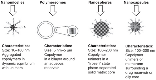 Figure 3 Classification of nanoparticle drug delivery systems and their general characteristics.Citation18Copyright © 2010, Elsevier Limited. Reproduced with permission from Letchford K, Burt H. A review of the formation and classification of amphiphilic block copolymer nanoparticulate structures: micelles, nanospheres, nanocapsules and polymersomes. Eur J Pharm Biopharm. 2007;65(3):259–269.