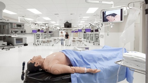 Figure 5 High fidelity mannequin in a state-of-the-art simulation facility.