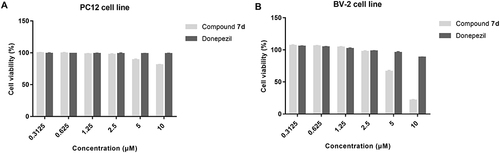 Figure 5 Cytotoxicity of compound 7d and donepezil on (A) PC12 and (B) BV-2 cells. PC12 and BV-2 cells were incubated with different concentrations of compound 7d or donepezil (0.3125–10 μM) for 24 h. The results were shown as cell viability after treated with compound 7d or donepezil vs untreated control cells. Data are shown as mean ± SD of three independent experiments.