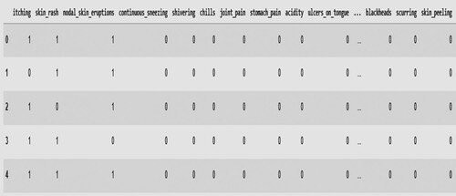 Figure 4. Sample data for dataset.