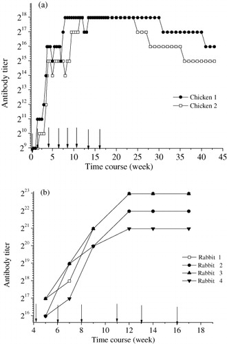 Figure 1. Time-dependent changes in antibody titer of (a) IgY and (b) IgG after immunisation.Each point is the titer of IgY or IgG. The arrows indicate immunisation time points. Antibody titer was defined as the maximum dilution that gave an absorbance of 2.2 times that of the preimmune chickens or rabbits.