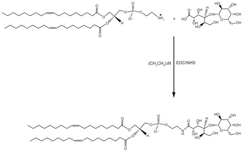 Figure 1 Synthesis of Lac-DOPE.