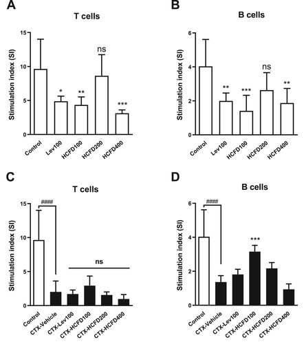 Figure 3. Effect of lyophilized HCFD on proliferation (ex-vivo) of T cells (A and C) and B cells (B and D) isolated from healthy (A and B) and immunosuppressed (C and D) rats treated with different doses of lyophilized HCFD for 14 days. Control group received normal saline 4 mL/kg, while CTX-Vehicle group received cyclophosphamide (100 mg/kg) alone. CTX-Lev100 group received CTX (100 mg/kg) and levamisole (100 mg/kg), whereas CTX-HCFD100, CTX-HCFD200 and CTX-HCFD400 received CTX (100 mg/kg) and lyophilized HCFD of 100, 200 and 400 mg/kg, respectively. Results were expressed as SI (mean ± SD) from 6 rats each group. No significant difference (ns), *p < .05, **p < .01 and ***p < .001 indicated non-significant and significant differences when compared with control group (A and B). ns and ***p < 0.001 indicated non-significant and significant difference, respectively, when compared with CTX-Vehicle (C and D), whereas ####p < .0001 indicated significant difference when compared with control group (C and D). Statistical significances were determined using one-way ANOVA followed by Dunnett’s multiple comparisons test.