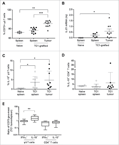 Figure 6. Analysis of γδ T cell populations in naive or TC1-grafted mice. (A) Percentage of CD73+ γδ T cells from the spleen of naive and from the spleen and tumor of TC1-grafted C57BL6 mice. (B) Relative quantification of IL-21 mRNA in total cells from the spleen of naive mice and from the spleen and tumor of TC1-grafted C57BL6 mice. Results were normalized to CD45 mRNA level. (C) Percentage of IL-10+ γδ T cells and (D) of IL-10+ CD4+ T cells from the spleen of naive and TC1-grafted C57BL6 mice and from TC1 tumors, after cell activation with PMA and ionomycin. (E) CD73 expression (Geo mean) by IFN-γ- and IL-10-producing γδ T cells and CD4+ T cells calculated as the ratio between the expression in tumor-infiltrating cells and in splenocytes of TC1-grafted mice. *p<0.05, **p<0.01 and ***p<0.001 (paired Wilcoxon test).