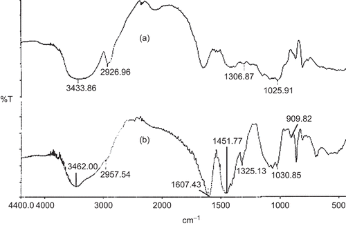 Figure 1.  FTIR spectrum of (a) locust bean gum; (b) sodium carboxymethyl locust bean.