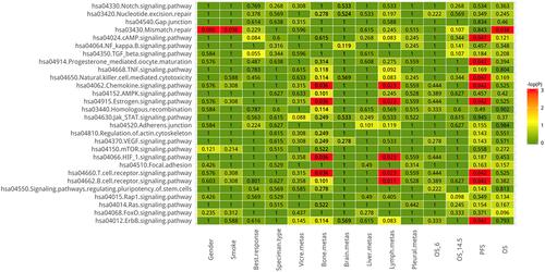 Figure 7 The correlation between signaling pathways involved in mutant genes (based on KEGG pathway) and clinicopathological data including gender, smoking, specimen origins, metastasis site, and progression free survival and overall survival. Red indicates statistically significant differences (p < 0.05).