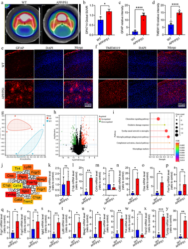 Figure 5. Difference analysis of neuroinflammation and signaling pathway in APP/PS1 and WT mice.