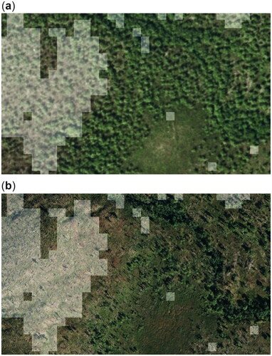 Figure 8. Forest mortality map as an overlay to aerial photographs. (a) Before the outbreak (2005). (b) After the outbreak (2015).