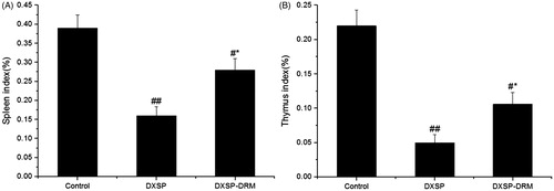 Figure 6. The influence of DXSP and DXSP-DRM on the spleen index (A) and the thymus index (B) of mouse (data are mean ± SD, n = 12). #,*Mean values with different superscript symbols were significantly different. ##p < 0.01, #p < 0.05 compared to control group; *p < 0.05 compared to TNBS group. Control, control group; DXSP, DXSP p.o. group; DXSP-DRM, DXSP-DRM p.o. group.