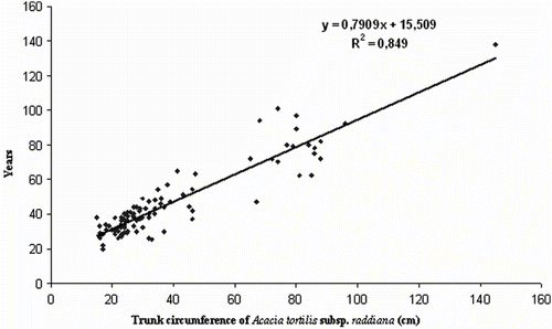 Fig. 2 Relationship between age and trunk circumference of Acacia tortilis subsp. raddiana. Fig. 2. Corrélation entre la circonférence du tronc et l’âge des individus d’Acacia tortilis subsp. raddiana.