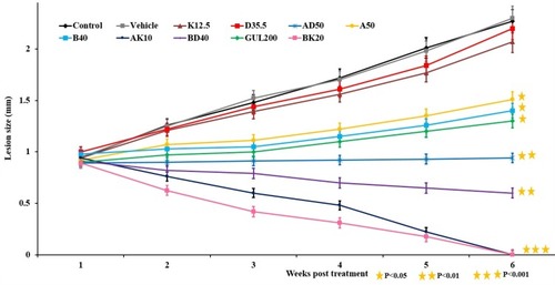 Figure 7 The lesion size in L. major-infected mice received various formulations including K12.5, D35.5, AD50, B(20 and 40), GUL200, AK10, BD40, A (10 and 50) and BK20 mg/kg. As the figure shows, the lesion size reached to zero in nanodrugs of AK10 mg/kg and BK20 mg/kg receivers (P˂0.001).