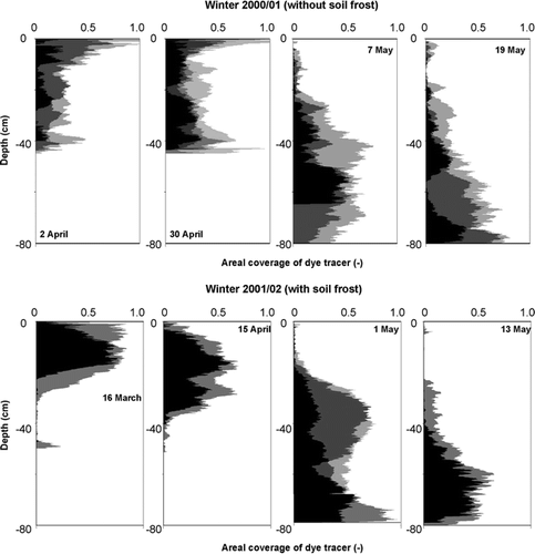 FIGURE 7. Depth profiles of areal coverage of pixels stained with dye tracer for all profiles excavated during the snowmelt, 2001 and 2002, at Hannigalp. Consecutive profiles from the same date superimposed on each other