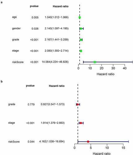 Figure 6. Univariate and multivariate Cox regression analysis forest plot of validation cohort 1