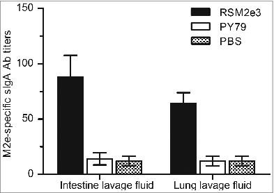Figure 6. Detection of mucosal antibody responses by ELISA in mice immunized with RSM2e3 spores. M2e-specific sIgA antibodies elicited by RMS2e3 spores were tested using mouse intestine and lung washes 5 d post-A/PR/8/34(H1N1) virus challenge. Control mice were administered with wild-type PY79 spores or PBS. The data are presented as mean ± SE of 5 mice per group.