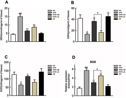Figure 4 Effect of esomeprazole on oxidative stress markers in stress ulcer induced by WIR.