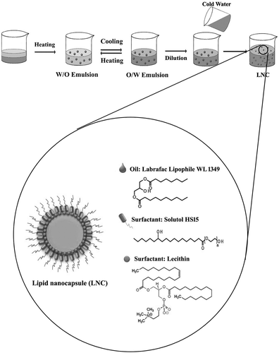 Figure 1. Schematic production method of lipid nanocapsules by phase-inversion temperature (PIT) technique and chemical structure of LNC and its components.