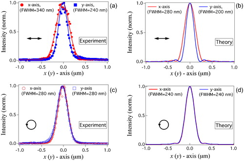 Figure 6. Comparison of a, c experimental and b, d theoretical results of focusing spot profile, along x2 axis (red color) and y2 axis (blue color) for a, b linear and c, d circular polarizations: experimental curves are extracted from images plotted in Fig. 5a and d; theoretical curves are derived from numerical calculation shown in Figs. 2d and 3d respectively; size (FWHM, full width at half maximum) of focusing spot, calculated along each axis, is indicated in each figure