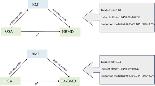 Figure 3 Network Mendelian randomization study regarding BMI is the mediator in the associations of OSA on FA-BMD and HBMD.