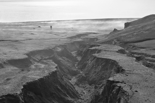 An example of rapid gully formation and erosion of pyroclastic deposits on the east flank of Kasatochi volcano about 10 months after the eruption. This particular gully is about 1.5 m deep and 3–4 m wide. See Special Section—Impacts of the 2008 Volcanic Eruption on the Terrestrial and Nearshore Marine Ecosystems of Kasatochi Island, Alaska, on pp. 245–341. Photograph by C. Waythomas, USGS-AVO, 12 June 2009.