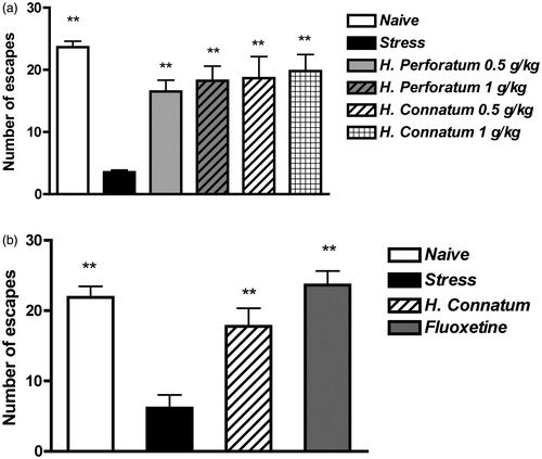 Figure 2. Effects of H. perforatum or H. connatum treatment on ED development. (a) Rats received vehicle (stress, n = 8), H. perforatum (0.5 g/kg or 1 g/kg, n = 5) or H. connatum (0.5 g/kg, n = 5, or 1 g/kg, n = 5) 60 min before the unavoidable stress session, and they underwent the escape test 24 h later. A group of vehicle-treated rats underwent the escape test, without unavoidable stress exposure (naive, n = 8). (b) Rats received vehicle (stress, n = 8), H. connatum (0.5 g/kg twice daily, n = 8), or fluoxetine (5 mg/kg/day, n = 8) for 14 d and, on the 15th day, they were exposed to unavoidable stress. Twenty-four hours later, rats were tested for escape. A group of vehicle-treated rats underwent the escape test, without unavoidable stress exposure (naive, n = 4). Data are expressed as mean ± SEM of the number of escapes/30 trials. **p < 0.01 versus the stress group.