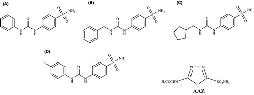 Chart 1. Structure of compounds A–D and the clinically used sulfonamide acetazolamide AAZ.