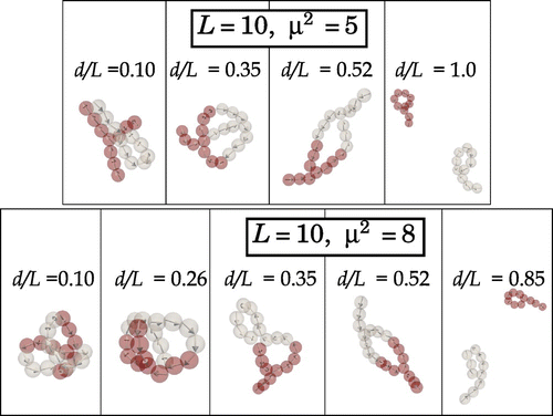 Figure 9. (Colour online) Examples of typical structural motifs formed by two Y2-junction SMPs with size and different relative characteristic separation distances, d / L, observed for (top row) and (bottom row).