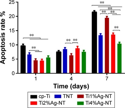 Figure 13 Apoptosis rates of MG63 cells after culture on the cp-Ti, TNT, and TiAg-NT samples for 1, 4, and 7 days.Notes: **P<0.01. Results expressed as mean ± SD (ANOVA on all groups).Abbreviations: cp-Ti, commercial pure titanium; TNT, titania nanotubes; TiAg-NT, TiAg alloys with nanotubular coverings; ANOVA, analysis of variance.
